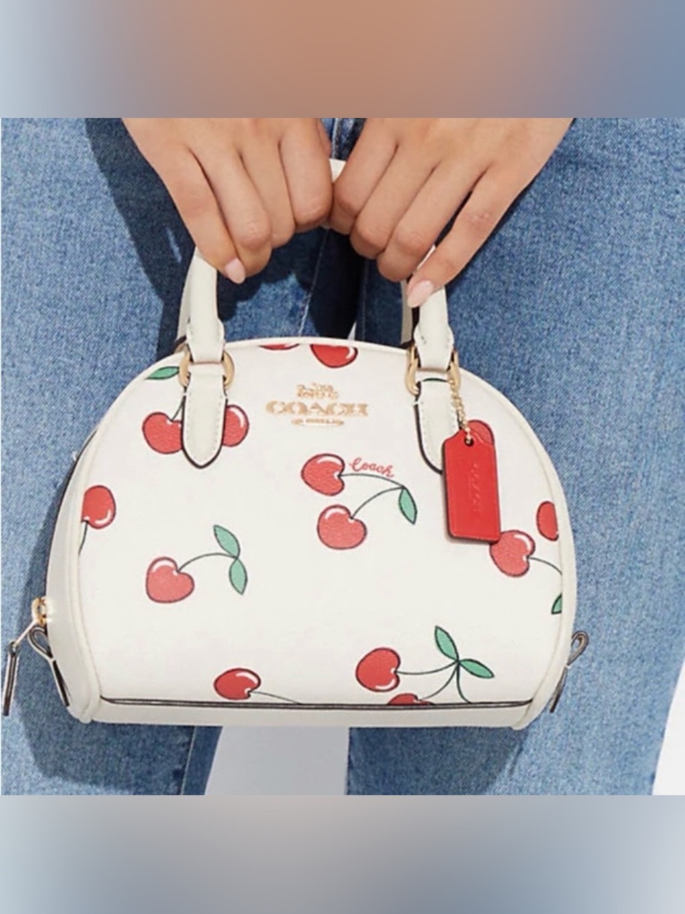 Coach 🍒 Cherry & Purse New With Tags - Picture 5 of 10